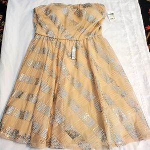 NEW Charlotte Russe Strapless Dress